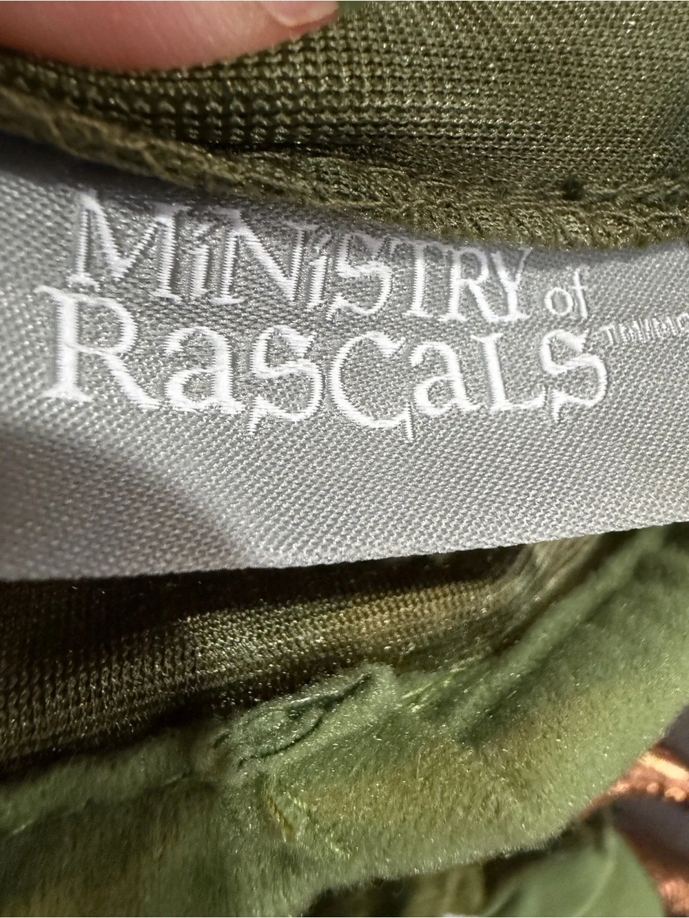 Ministry of Rascals Dinosaur Costume One Size (3-7)